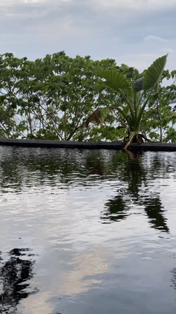 Resort infinity pool and abandoned building documented in Thailand