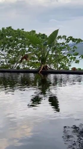 Resort infinity pool and abandoned building documented in Thailand