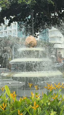 Morning in Nha Trang: promenade, markets, pagoda, and café stops