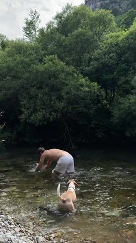 A person in white shorts is in a shallow, clear river, submerged up to their waist. They are facing away from the camera and appear to be ducking their head underwater. A light brown and white dog stands in the water near the person, facing the same direction, its tail raised. The riverbed is covered in smooth, light-colored stones. Dense green trees and foliage form a backdrop, with a rocky mountain slope visible in the upper right corner. The sky is overcast.