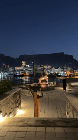 Cape Town harbor and restaurant scenes documented in brief sequence