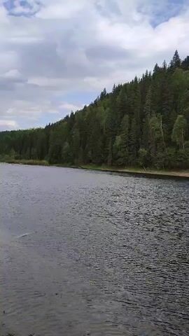 The video shows a lake with a dense forest on the opposite shore. The water is dark and rippled, indicating a slight breeze. The forest consists of tall evergreen trees and some deciduous trees with lighter green leaves. The sky is overcast with clouds. The camera is stationary and captures a wide shot of the scene.