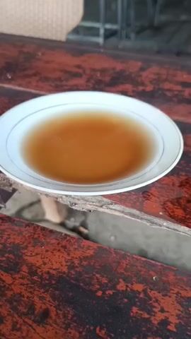 A close-up shot shows a white plate with a brown liquid on a dark wooden table. The plate is round with a thin blue line around the rim. The liquid is translucent and has a uniform color. The wooden table has a distressed texture with visible grain and some lighter colored marks. The background is blurred but appears to be an outdoor setting with some hints of furniture and possibly foliage. The lighting suggests it's daytime.