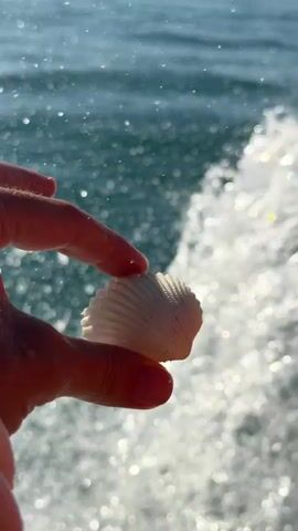 This media file features a close-up shot of a person's hand holding a small, white seashell. The hand is illuminated by natural light, suggesting a sunny day. The background is a blurred expanse of shimmering blue water, with the white caps of waves indicating movement, possibly from a boat or the ocean surf. The overall scene evokes a sense of being near the sea.

The person's hand, with visible water droplets, appears to be relaxed, and the act of holding the shell suggests a moment of appreciation or discovery. The shell itself is intricately ribbed and appears to be a common type found on beaches.

The media file is a vertical video, with the timestamp indicating a duration of approximately four seconds. There is no visible text within the frame. Given the location context of Baan Thong Krut, Thailand, the scene is likely set on a beach or coastline in that region, under clear, bright daylight conditions. The gentle focus and the subject matter convey a peaceful and serene mood.