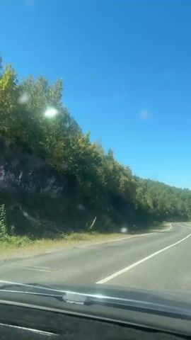 A view from inside a vehicle traveling on a paved road. The road curves to the right, with a clear blue sky above and a densely wooded hillside to the left. The trees on the hillside show signs of autumn foliage, with a mix of green and yellow leaves. Sunlight glints off the windshield and the road. The vehicle's dashboard is visible in the foreground. There are no people visible in the video.