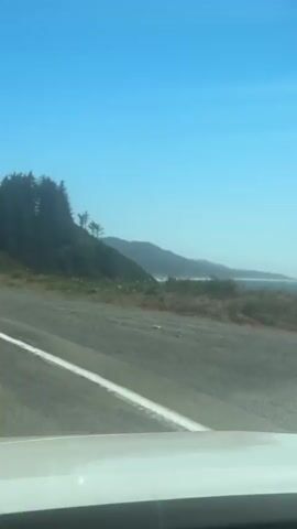A video taken from inside a vehicle shows a view of a coastal highway on a clear, sunny day. The road in the foreground is asphalt with a white line marking the lane. To the left of the road, a grassy slope rises towards a wooded hillside covered in evergreen trees. A guardrail runs along the edge of the road, separating it from the drop-off. Beyond the hillside, a body of water, likely the ocean, is visible in the distance, shrouded in a light haze. The sky is a vibrant, cloudless blue. The vehicle appears to be moving, as indicated by the slight blur of the landscape.