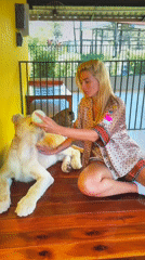 Woman feeds, interacts with lion cubs and tiger