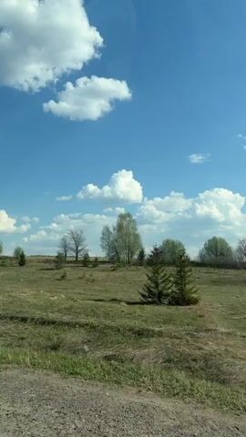The video shows a view from a moving vehicle, likely a car, looking out at a rural landscape. The foreground is dominated by a gravel road, transitioning into a field with sparse green and brown vegetation. Scattered throughout the field are small groups of trees, including evergreens and bare-branched deciduous trees. The sky is a vibrant blue with fluffy white cumulus clouds. The scene conveys a sense of open space and countryside.