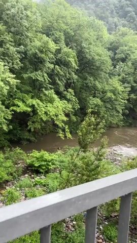 The video captures a scenic view of a turbulent, muddy river flowing through a lush green valley. Dense forest covers the steep hillsides that rise into an overcast, misty sky in the background. In the foreground, a gray metal railing is visible.

As the camera pans to the right, it reveals a concrete bridge. The same metal railing extends along the left side of the bridge, bordering a wet concrete sidewalk. A wet asphalt road runs parallel to the sidewalk, and a street light pole stands on the right edge of the sidewalk. The river continues to flow strongly beneath the bridge, its banks dotted with rocks and overgrown with vegetation. The surrounding landscape remains consistently forested and mountainous. No people are visible in the video.

The scene appears to be set on a rainy or recently rained-on day, given the wet surfaces and the high, fast-flowing river, likely in the mountainous region around Бачковски манастир, Bulgaria.