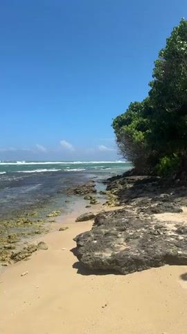 This is a vertical, high-angle shot of a tropical beach on a sunny day. The sky is a clear, bright blue with a few wispy white clouds. The ocean is a vibrant turquoise and green, with gentle waves rolling onto the shore. A rocky outcrop covered in mossy green algae juts out into the water on the right side of the frame, creating a shallow tide pool area. The beach itself is made of light tan sand. Lush green foliage can be seen growing from the edge of the rocks on the far right. The shot is static, with no visible people or animals.