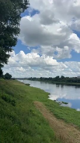 A vertical video shows a wide, calm river with green grass on the left bank. The sky is blue with fluffy white clouds. A path runs along the grass. In the distance, a bridge spans the river, and a treeline with buildings is visible on the far bank. The water reflects the sky and clouds.