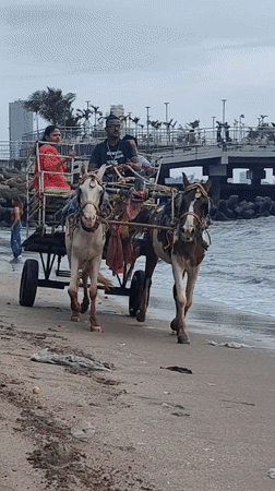 Cloudy afternoon on Mumbai's coast, carriages and waves