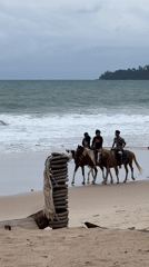 Three riders on horseback traverse beach under cloudy skies