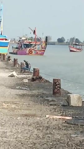 The video shows a harbor with several boats. In the foreground, there is a rocky shore with mooring posts. In the middle ground, two fishing boats are visible, one brightly colored and decorated, and another smaller, simpler boat. Further in the distance, more boats and a town can be seen. In the water, a blue barrel floats with a person partially submerged in it. The person appears to be struggling with the barrel, which is being pulled by a rope. The water is choppy, and waves are crashing against the shore. The overall impression is one of a busy working harbor with some activity on the water.