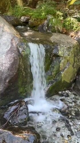 Hiking the forested trails of Verzasca Valley, Switzerland
