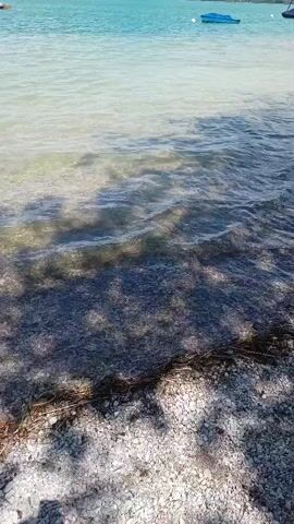 The video shows a body of water with several boats docked or anchored in the distance. The water is clear and calm near the shore, with visible rocks and vegetation below the surface. The shoreline is made up of gravel and scattered debris, with some vegetation growing along the edge. In the background, a tree casts shadows on the shore. The sky is blue with scattered white clouds, and a lush green hillside rises behind the water. The scene appears to be a serene lakeside or coastal setting on a sunny day.
