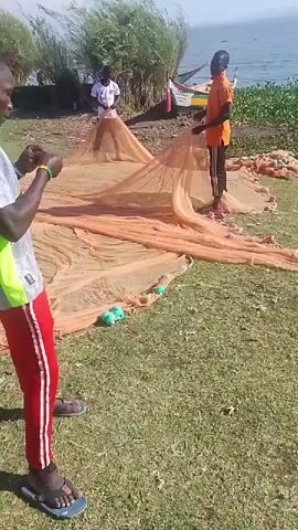 Three men are in a grassy area near a body of water, handling an orange fishing net. The man in the foreground, wearing a grey, green, and white shirt with red pants, is looking down at something in his hands. The man in the middle, wearing a white shirt, is standing within the net. The man on the right, wearing an orange shirt and black pants, is holding a section of the net. The net is spread out on the ground, with several green floats visible. In the background, there is vegetation, a boat, and the water. The sky is clear and blue.