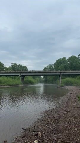 The camera slowly moves forward, traveling from an initial view of a river and a bridge, to a vantage point directly under the bridge. The river is still and reflects the overcast sky. The riverbanks are lined with green vegetation, and the sky is filled with grey clouds. The bridge is a simple concrete structure with a metal railing. There is some mist rising from the river. The overall scene is peaceful and serene.