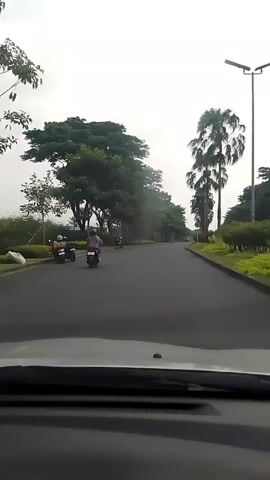 The video captures a view from inside a car driving on a paved road. The road is lined with lush green trees on the left and tall palm trees on the right. Several individuals on motorcycles are visible on the road. In the foreground, the dashboard of the car is partially visible. The sky appears overcast.