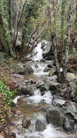 The video shows a stream flowing downhill through a forest. The water flows over and around gray rocks of various sizes. A small waterfall is visible in the distance. The stream is surrounded by trees and greenery. The camera moves slightly, panning across the scene. A voice is heard speaking in a language other than English.