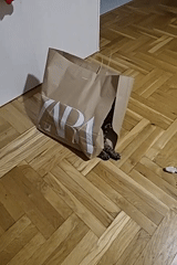 Tabby cat plays in ZARA bag, Montenegro