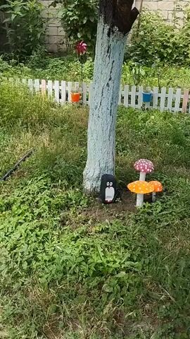 The media file shows a charming garden scene in Khachmaz, Azerbaijan. The central focus is a tree with its trunk painted a light blue, standing amidst lush green grass and foliage. Near the base of the tree, a small, painted rock resembling a penguin adds a whimsical touch. Beside it, a decorative garden ornament depicts three toadstools, two orange with white polka dots and one pink with white polka dots.

In the background, a white picket fence runs horizontally, creating a boundary. Attached to the fence are several colorful, repurposed plastic bottles serving as small planters, each holding a vibrant flower or plant. A red pinwheel is visible further down the fence, suggesting a light breeze. The overall setting is a well-tended garden, likely in a backyard or a communal garden space. The lighting suggests it is daytime, with soft sunlight illuminating the scene. The atmosphere appears peaceful and idyllic. No text is visible in the media file.