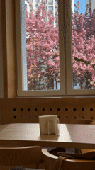 Café scene captured in Kazan showing spring blooms