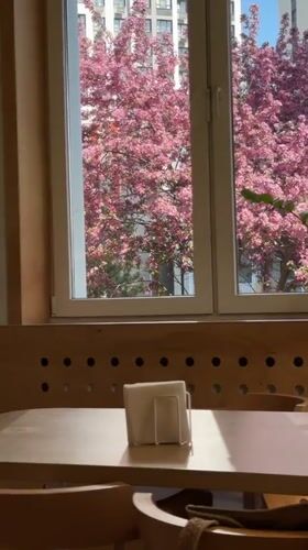 Café scene captured in Kazan showing spring blooms