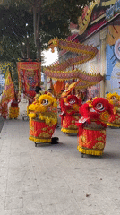 Lion dance festival and park scenes in Nha Trang