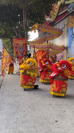 Lion dance festival and park scenes in Nha Trang