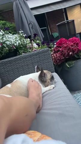 In a close-up shot, a person's bare foot rests on a French bulldog, which is lying down on a grey outdoor cushion. The dog has fawn and white markings and appears to be sleeping. In the background, a large grey umbrella is partially open, and various potted plants, including white flowers and large pink hydrangeas, are visible. Behind the plants, a brick building and outdoor furniture can be seen. The scene suggests a relaxed moment outdoors, possibly in a garden or patio area. The lighting indicates it's daytime. The overall mood is peaceful and serene. No text is visible in the media.