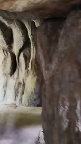 The video pans through a cave-like structure, revealing carved rock formations. The camera moves towards a section where several small Buddha statues are placed on shelves within alcoves. The statues appear to be made of different materials and are of varying colors. The floor is a smooth, light-colored surface, and the lighting is dim, creating a somber atmosphere.