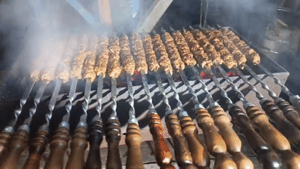 Backyard barbecue gathering with kebabs documented in Nizhnevartovsk