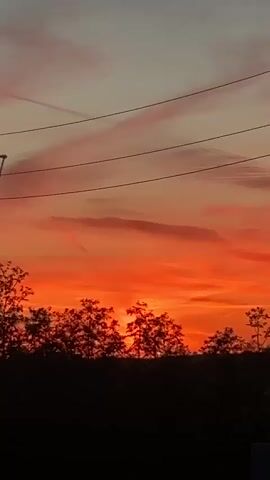 The video shows a fiery sunset over a landscape. The sky is dominated by intense shades of orange and red, fading into lighter, muted colors near the top of the frame. Silhouetted against this vibrant backdrop are trees and a utility pole with power lines stretching across the sky. In the foreground, a gray concrete wall partially obscures the view. The camera slowly zooms out, revealing more of the wall and the surroundings. No people are visible.