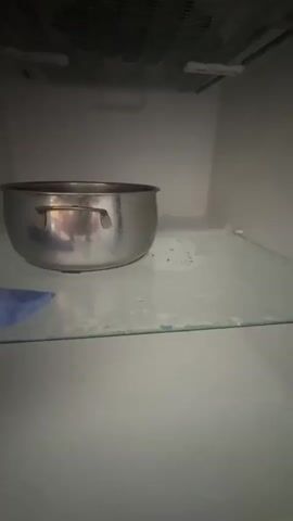 The video shows the inside of a refrigerator. A metal pot with two handles sits on a glass shelf. There is a blue cloth or towel to the left of the pot on the shelf. The back wall of the refrigerator, above the shelf, appears to be covered in frost or ice. There are a few small droplets of liquid on the shelf, around the pot.
