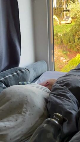 The scene is a static, close-up shot of a person in bed next to a large window overlooking a yard. The person is mostly covered by a gray duvet and is lying on their side, facing away from the camera. A decorative pillow with a white floral pattern is visible next to the person's head. Next to the pillow is a reusable water bottle. A dog is lying at the edge of the bed by the window, its fur a mix of brown, black, and white. The window shows a green yard with trees in the background. A yellow backhoe is visible in the distance. A brown and black curtain is partially drawn beside the window. The overall lighting suggests it is daytime.