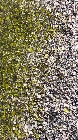The camera looks downward at the edge of a beach, showing clear water and rounded rocks, both wet and dry. The rocks near the water have a greenish tinge, while the dry rocks are gray and white. The camera shifts slightly, revealing a glassy surface of water reflecting the sky above. The video focuses on the boundary where the water meets the pebbles.