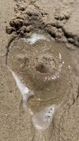 A close-up shot of a wet sand hole on a beach shows water bubbling up from the bottom. The water churns and creates a small vortex, disturbing the sand and forming a foamy rim around the hole. A small, round object, possibly a shell or stone, is visible in the center of the disturbance before being submerged by the water. The surrounding sand is a light brown color, with some darker grains mixed in. The lighting suggests it is daytime, with the sun casting shadows on the sand.