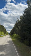 Forest road documented in rural Russia during morning hours