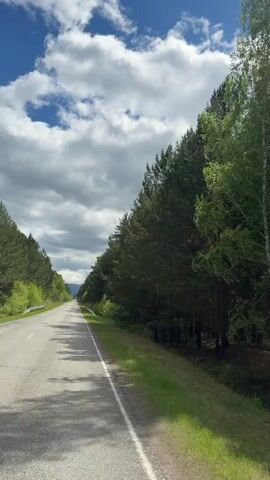 The video shows a paved road cutting through a forest under a partly cloudy sky. The road is mostly straight, stretching into the distance with green trees lining both sides. A grey guardrail runs along the right edge of the road. The camera appears to be moving forward along the road, as if from a vehicle. There are a few scattered clouds in the blue sky. A sound resembling gravel hitting the road can be heard.