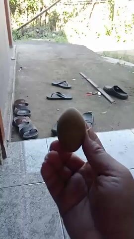 A person's hand holds a brown egg in the foreground. Behind the hand, a concrete path leads away from the viewer. Several pairs of flip-flops are scattered on the path. In the background, there is vegetation and what appears to be a wall or building. The scene is outdoors during the day.
