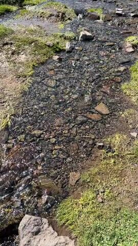 The video shows a shallow, clear stream flowing over rocks and pebbles. Green moss and grass grow along the banks of the stream. Sunlight glints off the water's surface, creating ripples and reflections. The camera moves slowly along the stream, offering a close-up view of the water and its rocky bed. There are no people or animals visible in the video.