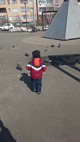 The video depicts a young child walking among pigeons in an outdoor urban setting. The child, wearing a dark knit cap, a red, white, and blue jacket, and dark pants, is seen from behind as they walk on a paved surface. Several pigeons are scattered around, some pecking at pieces of what appears to be bread. A large, grey, pyramidal structure stands to the right. In the background, apartment buildings are visible, along with a park bench, trees, and a few people. The sun casts shadows on the ground. The overall atmosphere suggests a sunny day in a public park or plaza.