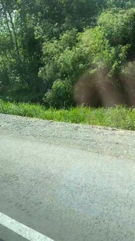 The video shows a view from a vehicle traveling along a paved road. A metal guardrail is visible along the side of the road, separating it from a vegetated embankment. Green trees and foliage form the background. The lighting suggests it is daytime. The camera perspective indicates motion, consistent with being in a moving vehicle. There are no people or clear interactions visible.