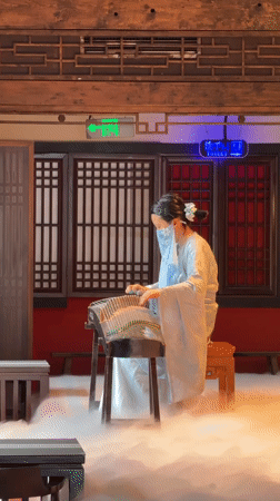 Traditional guzheng performance staged in Wuhou District, China