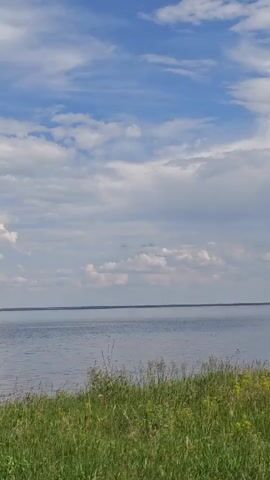 A panoramic view of a large body of water, likely a river or lake, under a sky filled with scattered clouds. The foreground is dominated by tall green grass and some dry brush. The water is calm with gentle ripples. The horizon is a thin line where the water meets the sky, with a darker strip of land visible in the distance. A dead tree branch extends into the frame from the left, adding a stark element to the otherwise serene natural scene. The overall atmosphere is tranquil and suggests an outdoor, natural environment.