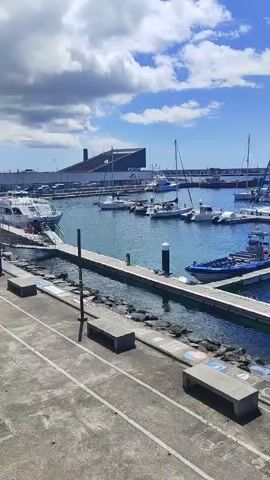 The video shows a marina with many sailboats docked. The water is a clear blue, and the sky is bright with some clouds. There are several docks extending out into the water, and on one of them, a small inflatable boat is tied up. In the foreground, there is a paved walkway with two benches. The overall scene is one of a peaceful and sunny day at the harbor.