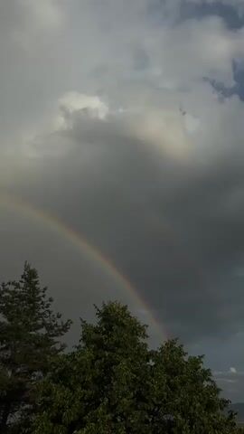 This is a vertical video clip capturing a natural phenomenon. The primary subject is a vibrant double rainbow arching across a dramatic sky. The sky is filled with a mix of dark, brooding storm clouds and patches of lighter, brighter clouds, suggesting an active weather system. The sunlight breaks through in places, illuminating the clouds and the upper portion of the rainbow.

In the foreground, the tops of two trees are visible, providing a sense of scale and grounding the ethereal spectacle of the rainbow. The tree on the left appears to be a conifer, while the tree on the right is denser with broader green leaves. The overall scene suggests an outdoor setting, likely a rural or natural landscape, given the presence of trees and the expansive sky.

The time of day is indeterminate due to the overcast conditions, but the interplay of light and shadow implies it is likely daytime, possibly late afternoon when storms often form. The weather is clearly transitioning from or towards rain, as evidenced by the storm clouds and the presence of the rainbow, a direct result of sunlight refracting through water droplets.

There are no people or man-made objects prominently featured in the video. The focus is entirely on the natural beauty of the double rainbow and the dynamic sky. The emotional tone evoked is one of awe and wonder at nature's display. The location context provided is Pojarevo, Bulgaria, which places this natural event within that specific geographical area.

There is no visible text in the video. The clip is purely visual, showcasing the striking appearance of the double rainbow against a backdrop of turbulent clouds.