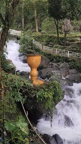 A video shows a golden chalice-like object placed on a moss-covered rock formation. A waterfall cascades over rocks in the foreground. In the background, a white railing and a bridge are visible, with trees and lush greenery surrounding the area.