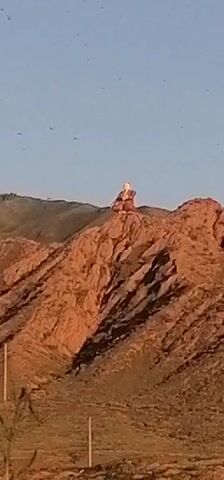 A statue of a seated figure is visible on top of a rocky mountain. The statue is light-colored with some reddish-brown accents. The mountain itself is a reddish-brown color with visible layers and slopes. The sky above is clear and blue. In the foreground, there are some green plants and what appear to be parts of buildings with red and gold decorations. There are also some thin poles scattered throughout the landscape. The scene appears to be a remote, mountainous area during daylight.